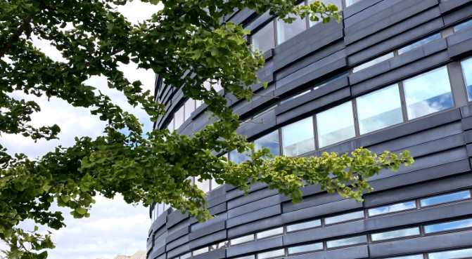 GRC Hero Image Flundran - IMG_3071(1) (Custom) (1)