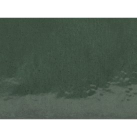AURA_BASIL