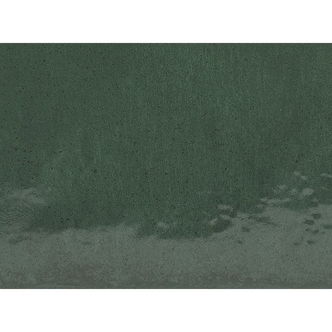AURA_BASIL